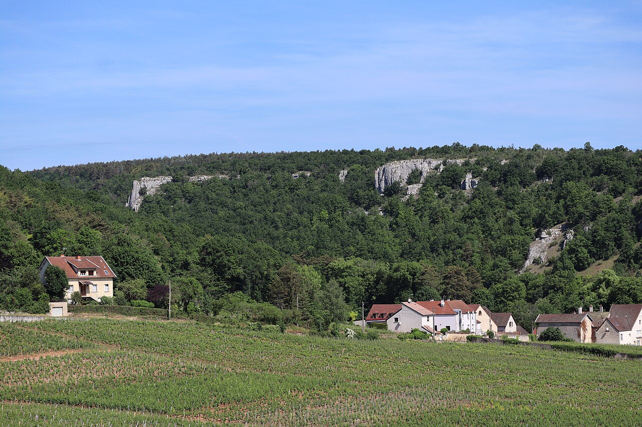 Chambolle-Musigny 香波-慕西尼村与葡萄园